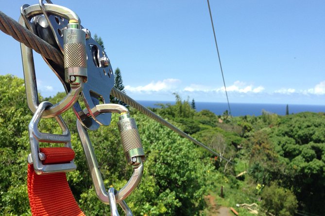 Maui Zipline Eco Tour - 8 Lines Through the Jungle - Tour Features