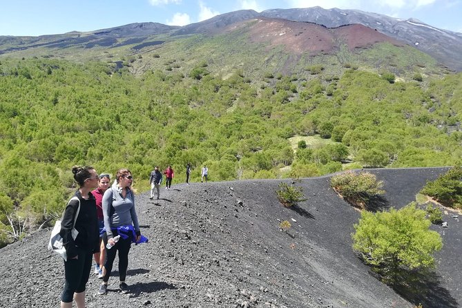 Mount Etna Half-Day Tour - Small Groups From Taormina - Key Points