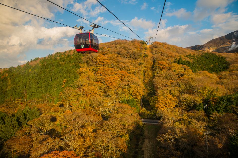 Mt.Fuji and Hakone Tour - Key Points