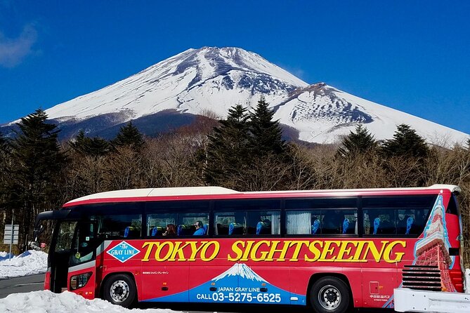 Mt. Fuji & Hakone Tour Tokyo Hotel Pick-Up & Drop-Off by Grayline - Key Points