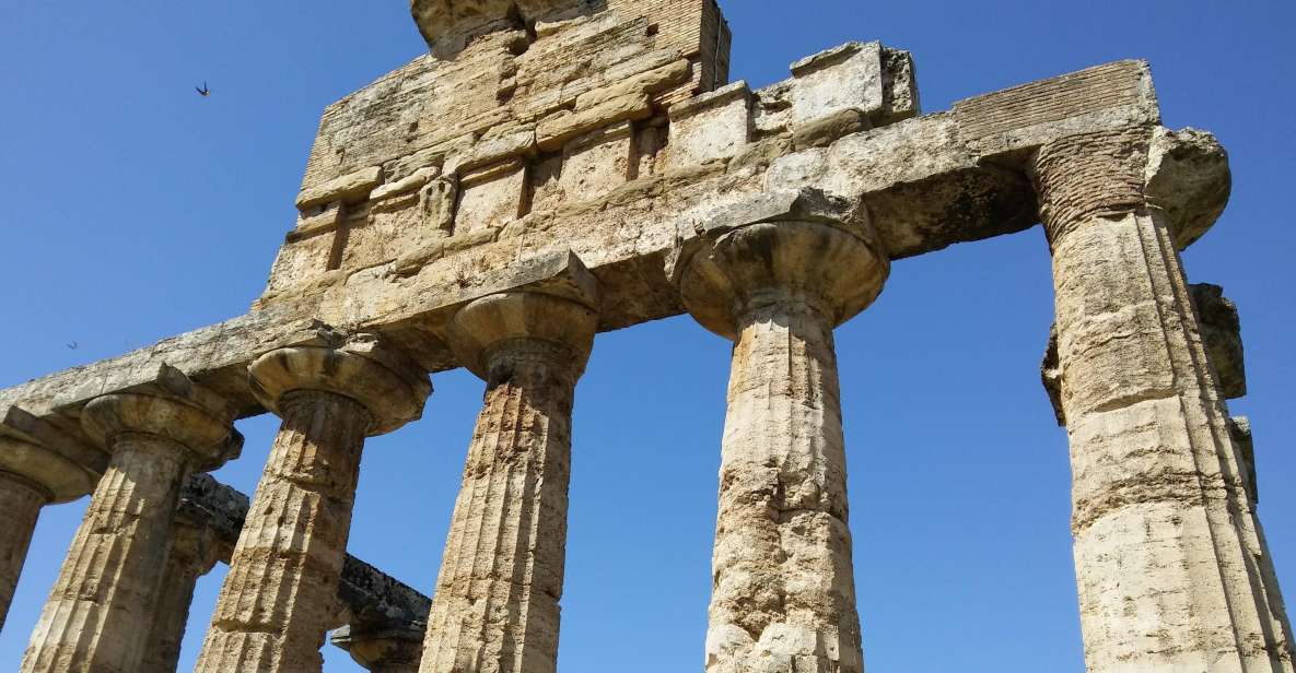 Naples: Drive to Paestum and Visit the Temples - Key Points