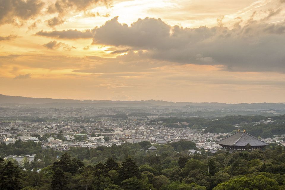 Nara Like a Local: Customized Guided Tour - Key Points