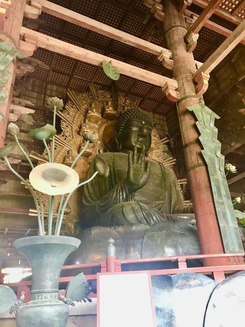 Nara: Todaiji and Nara Park (English Guide) - Key Points