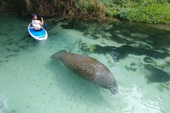 Nature & Island Exploration on SUP/Kayak - Key Points