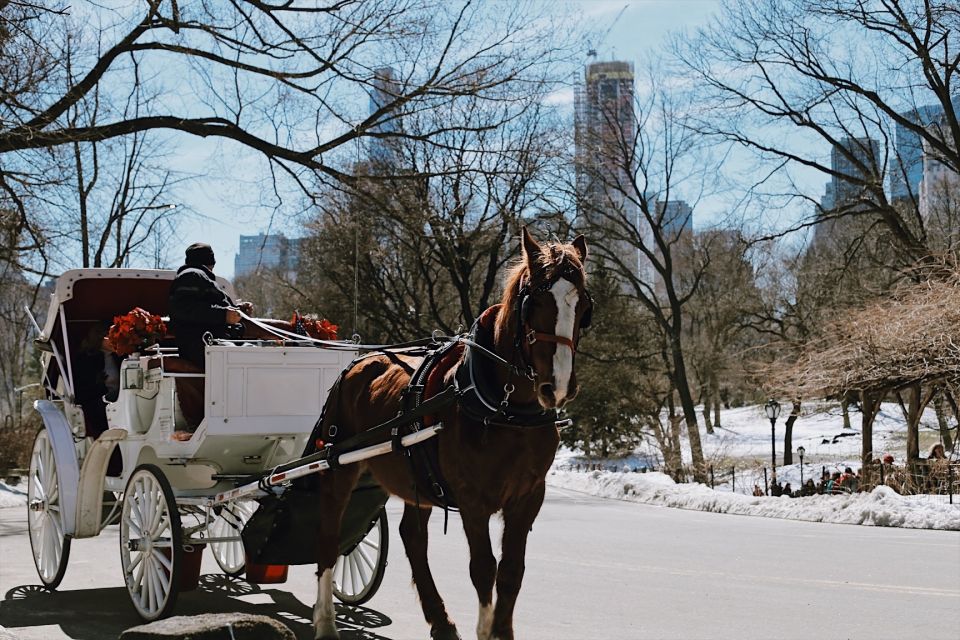 New York: Central Park - Guided Walking Tour - Key Points