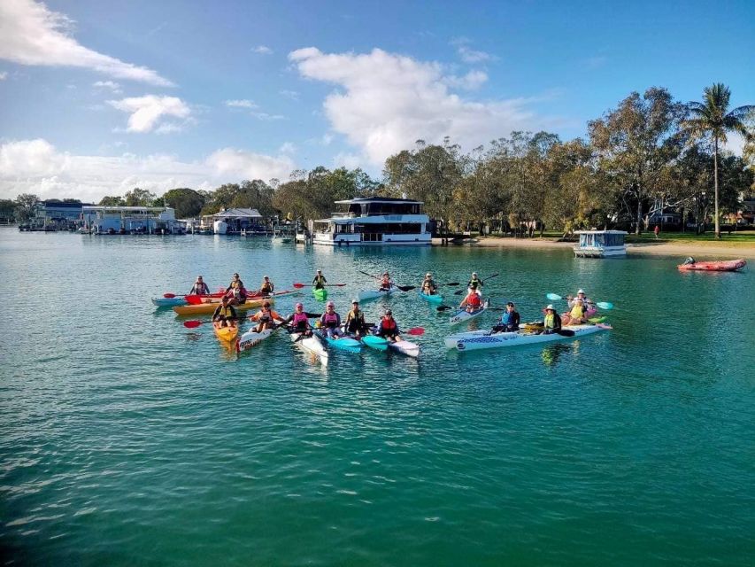 Noosa River: Mangroves and Mansions Guided Kayak Tour - Key Points