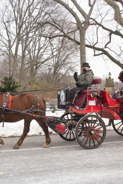 NYC Horse Carriage Ride in Central Park (65 Min) - Key Points