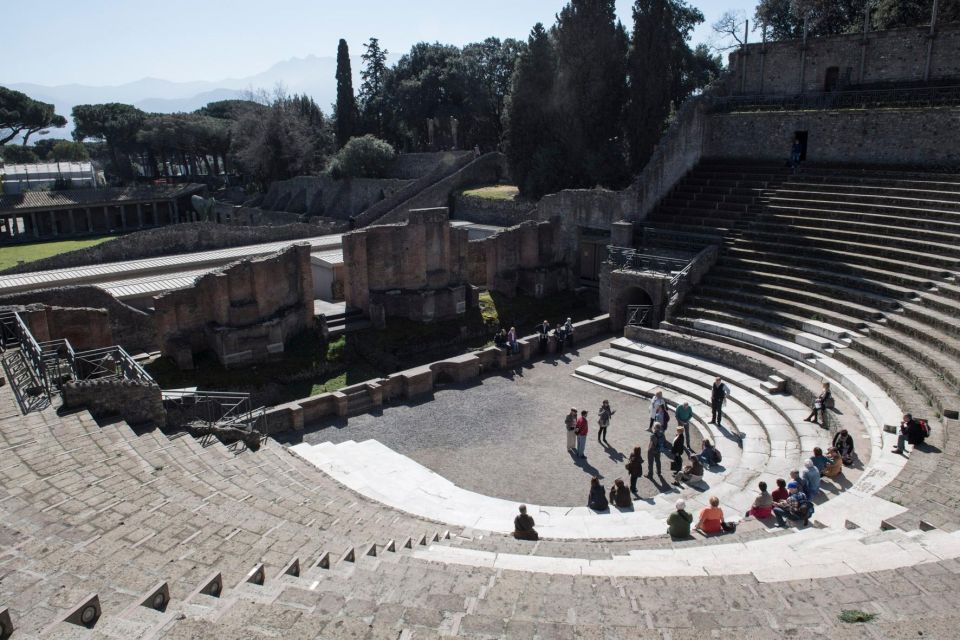 Pompeii, Oplontis and Herculaneum From Naples - Booking Information