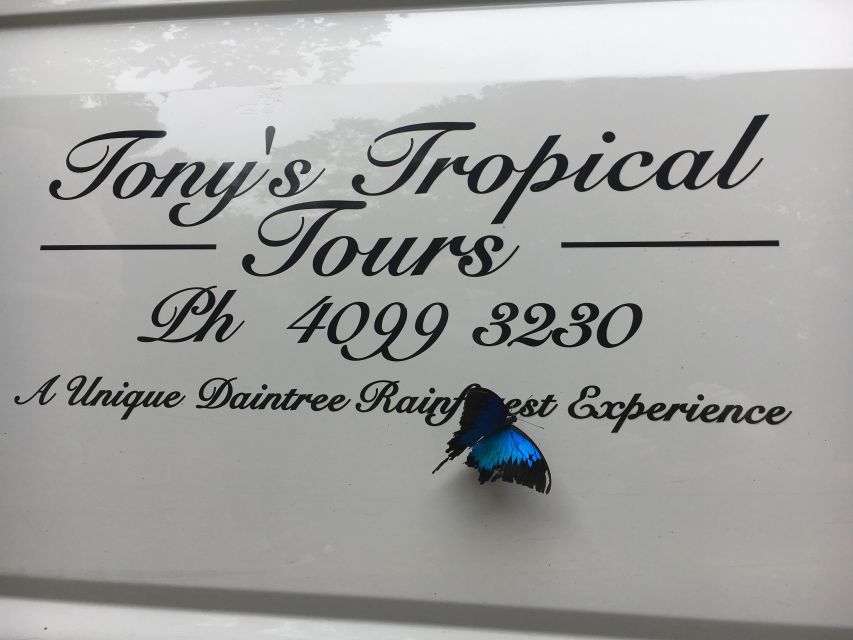 Port Douglas: Daintree Rainforest and Mossman Gorge Tour - Key Points