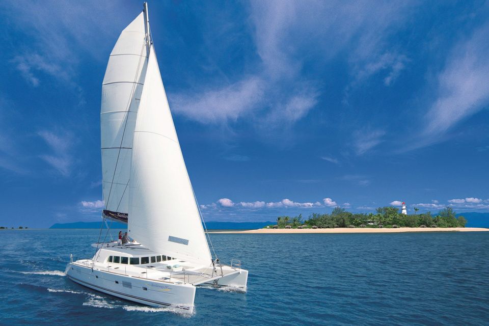 Port Douglas: Low Isles Afternoon Cruise on Luxury Catamaran - Key Points