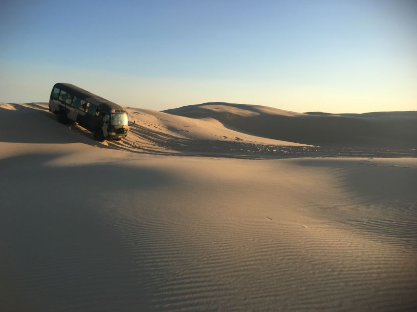 Port Stephens: Sandboarding & Sandsurfing With 4WD Transfer - Key Points