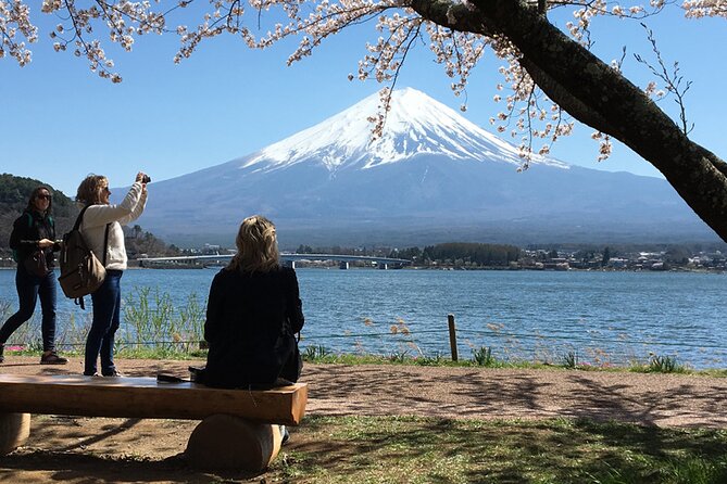 Private Guided Sightseeing Full Day Tour In Mt. Fuji And Hakone - Key Points