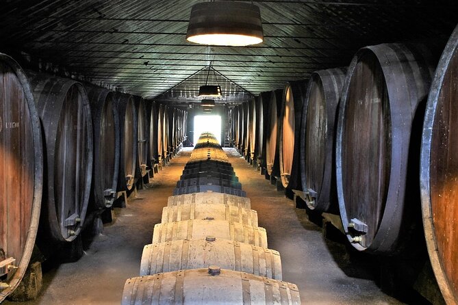 Private Wine Tasting Tour to the Setubal Wine Region From Lisbon