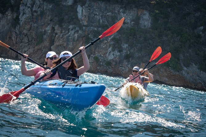 Sea Kayaking in Navarino Bay - Key Points