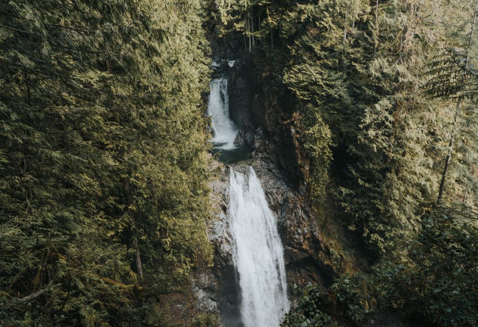 Seattle: Waterfall Wonderland Hike in Wallace Falls Park - Key Points