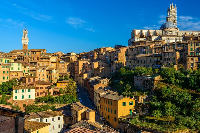 Skip the Line: Siena Duomo and City Walking Tour - Tour Highlights