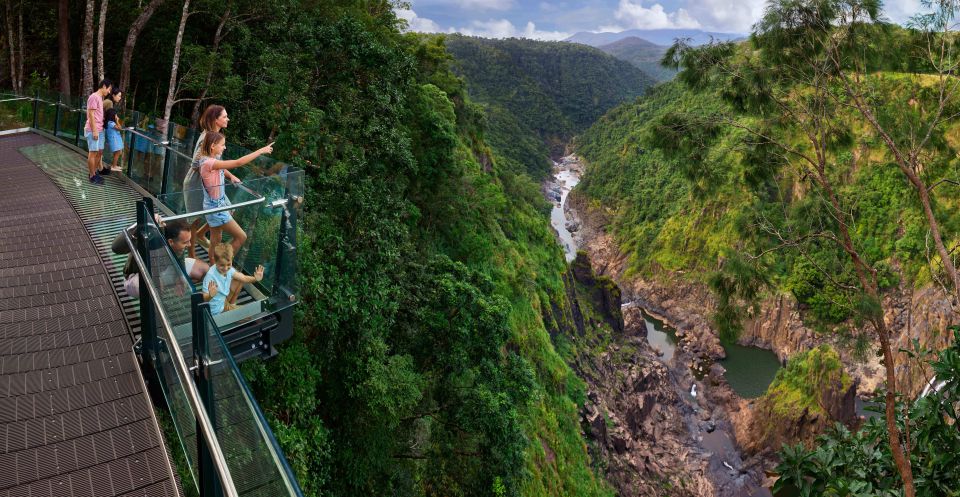 Skyrail Rainforest Cableway Round-Trip Experience - Key Points