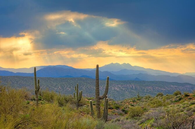 Sonoran Desert 2 Hour Guided ATV Adventure - Key Points