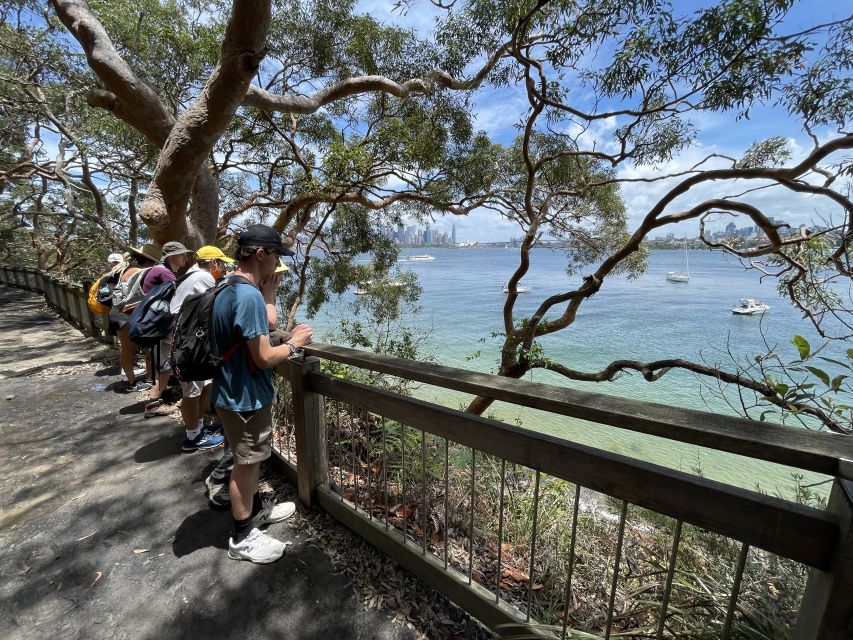 Sydney Harbour National Park 2-Hour Walking Tour - Key Points