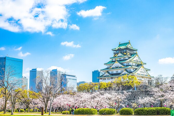 This Is the Best Private Walking Tour, All Must-Sees in Osaka! - Key Points
