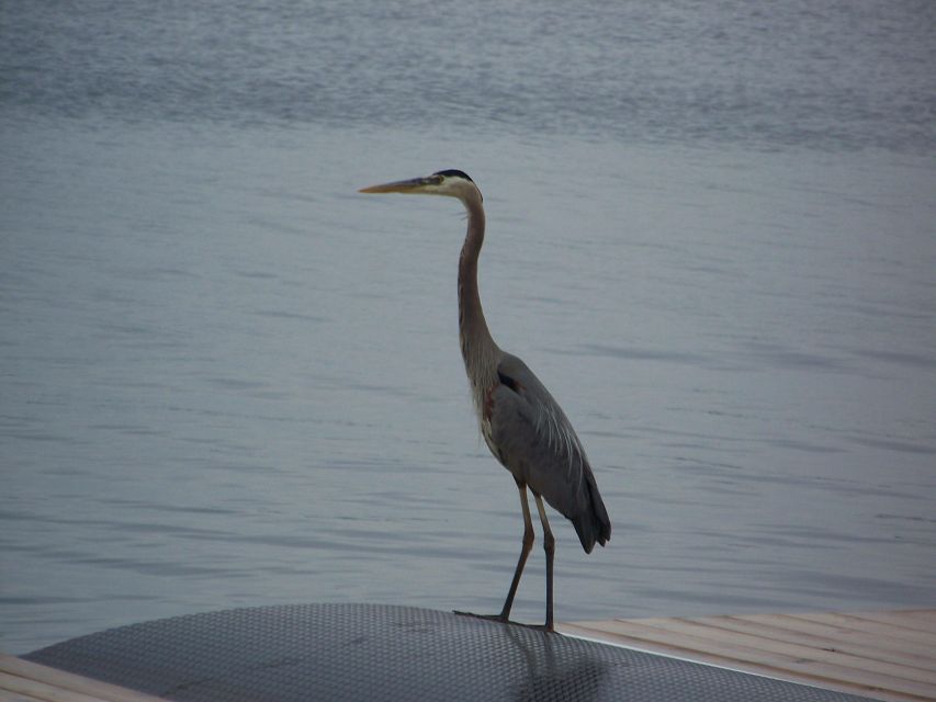 Thousand Islands: Sunset Cruise on St. Lawrence River - Key Points