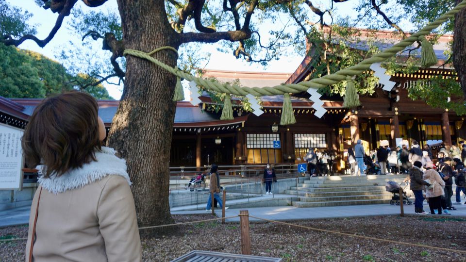 Tokyo From Meiji Shrine to Shibuya Crossing & Lunch,Dessert - Key Points