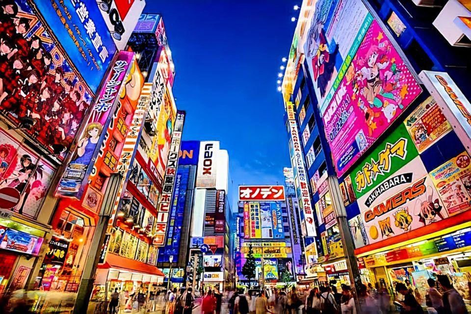 Tokyo Full Day Private Tour With English Speaking Driver - Key Points