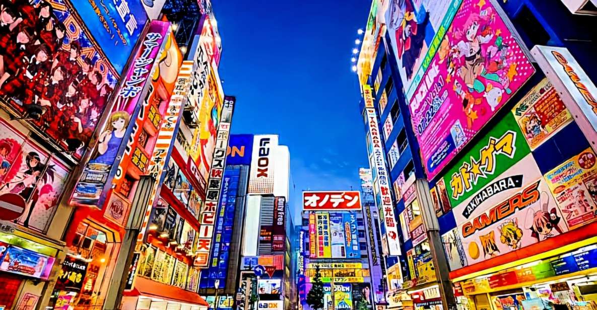 Tokyo: Full-Day Private Tour With English-Speaking Guide - Tour Overview