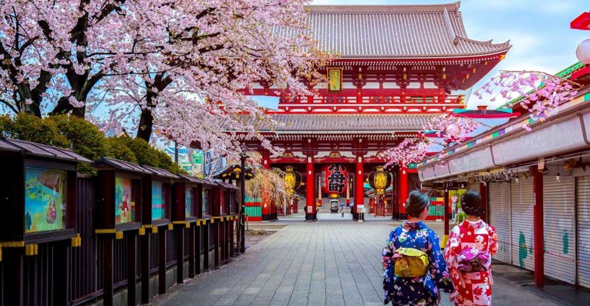 Tokyo: Full Day Private Walking Tour With a Guide - Customizable Itinerary Options