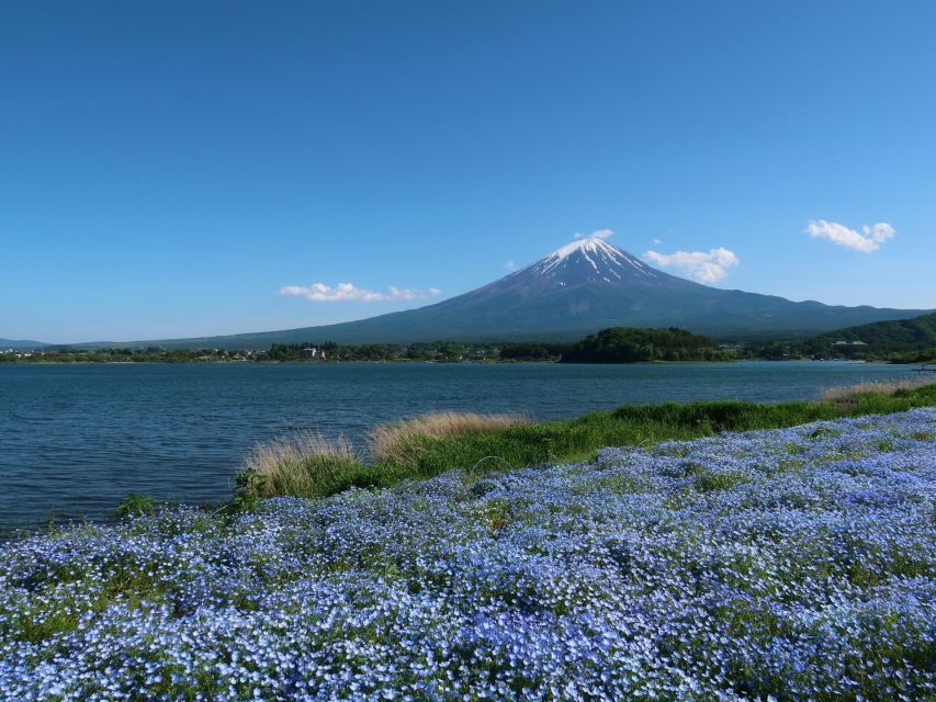 Tokyo: Mount Fuji and Lake Kawaguchi Scenic 1-Day Bus Tour - Key Points