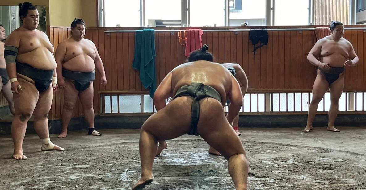 Tokyo: Visit Sumo Morning Practice With English Guide - Key Points