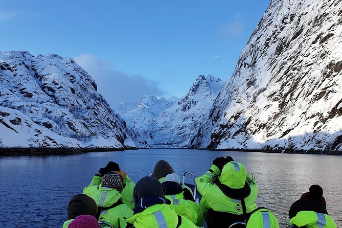 Trollfjord and Sea Eagle Safari Tour From Svolaer - Key Points