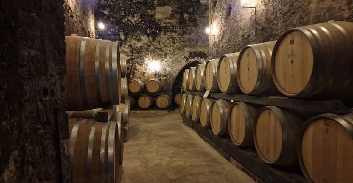 Wine Tasting in Montepulciano Tuscany Private Tour From Rome - Key Points