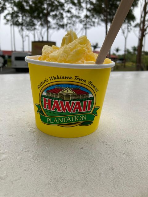 World Famous Dole Plantation & The North Shore Island Tour! - Key Points