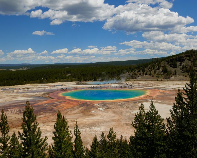 Yellowstone: Bespoke Photo Tour - Summer - Key Points