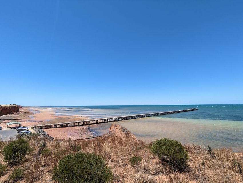 Yorke Peninsula: Catch N Cook Blue Swimmer Crab Experience - Key Points
