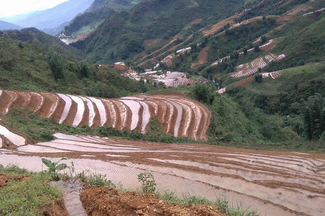1 Day Sapa Authentic Trekking ( off Beaten Track ) - Tour Overview