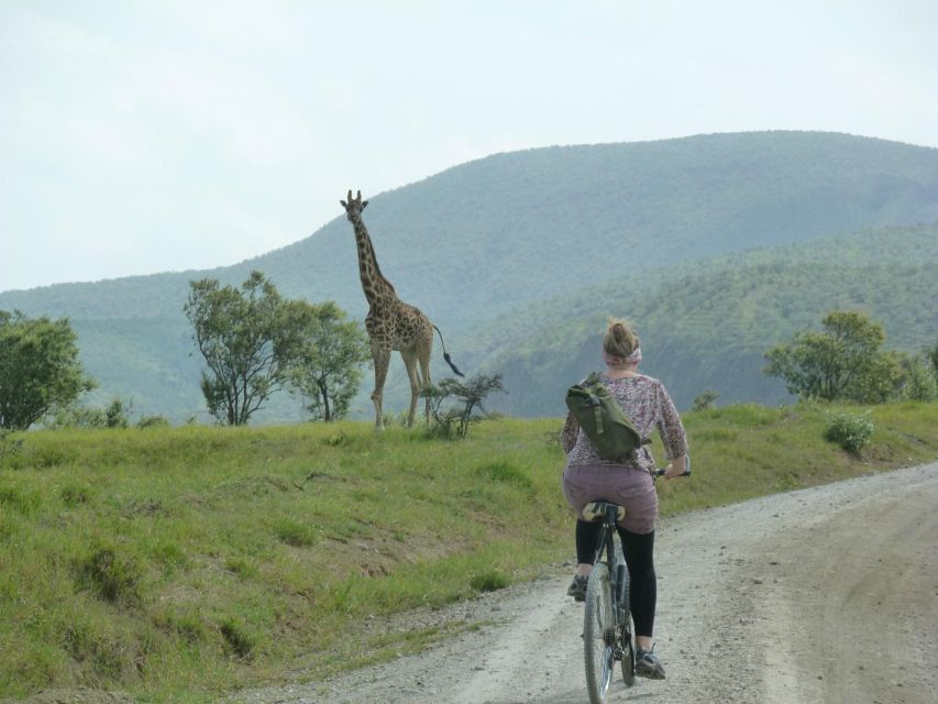 1 Day Trip to Hells Gate Park and Optional Lake Naivasha - Key Points