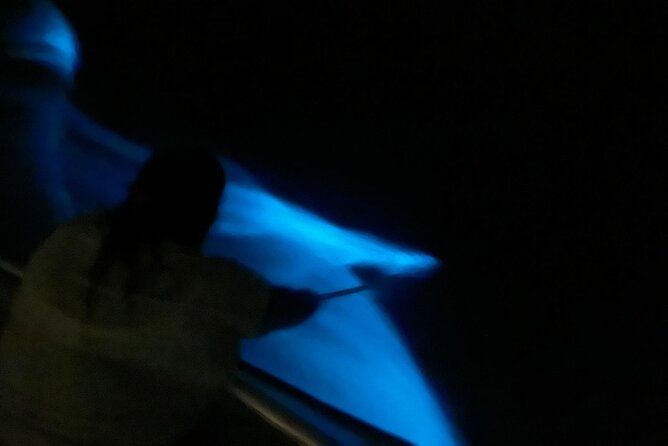 1-Hour Bioluminescent Boat Tour in Mosquito Bay, Vieques - Experience Highlights