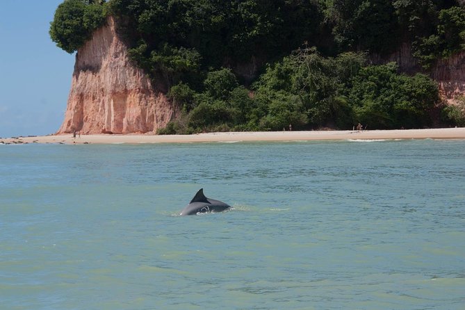 1 Day Tour to Pipa Beach / RN – Departing From Natal / RN