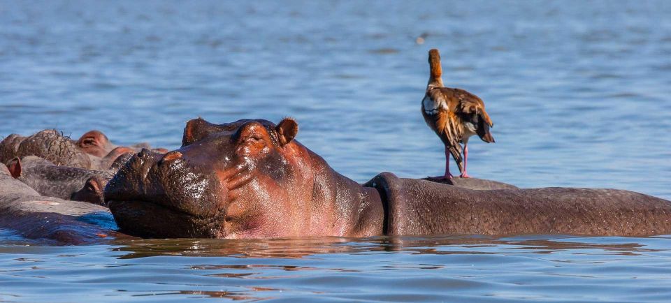 1 Day Trip to Hells Gate Park and Optional Lake Naivasha - Trip Details