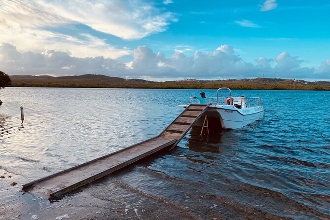 1-Hour Bioluminescent Boat Tour in Mosquito Bay, Vieques