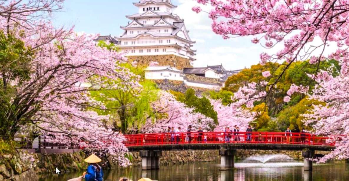 10-Day Private Guided Tour in Japan On top of that 60 Attractions - Tour Overview