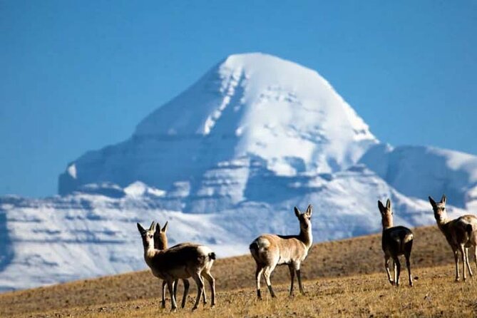 15 Days Lhasa to Kailash, Manasarova (trekking)Small Group Tour