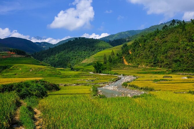 2 Days Authentic Trekking Tour in Sapa ( Homestay - Less Touristy ) - Itinerary and Activities