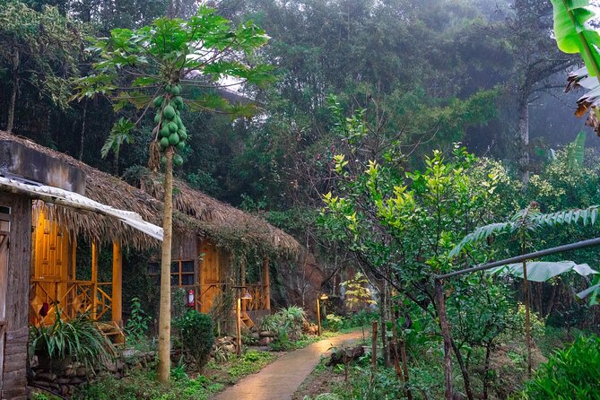 3-Day Trekking Adventure of Sapa From Hanoi – Stay Ta Van Village