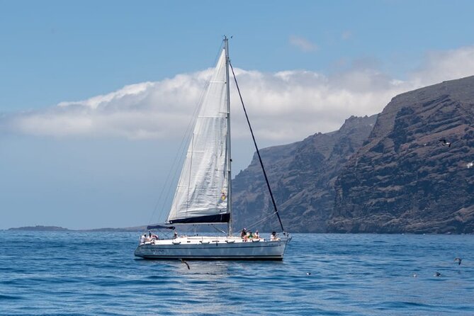 3-Hour Cetacean Watching and Snorkeling Tour in Tenerife - Tour Overview