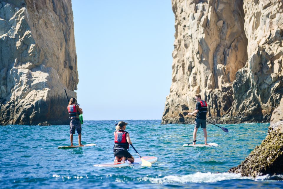 3-Hour Stand up Paddle and Snorkel at Los Cabos