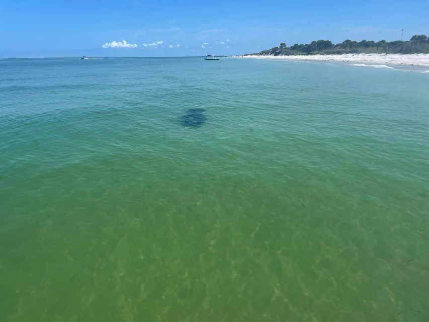 5-Hour Egmont Key Tour in St. Pete