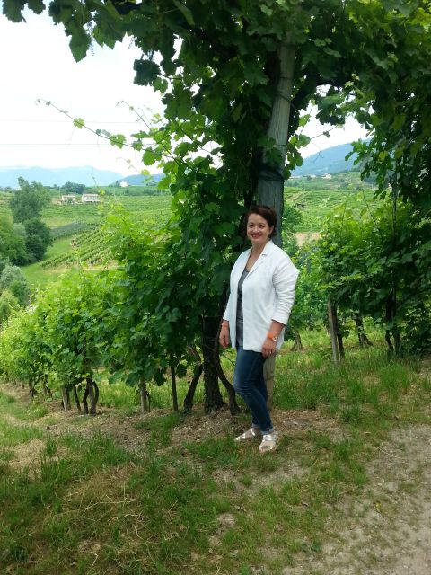 8-Hour Prosecco Wine and Tastings Tour From Venice or Padua - Tour Overview